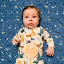 Load image into Gallery viewer, Baby Milestone Photo Props
