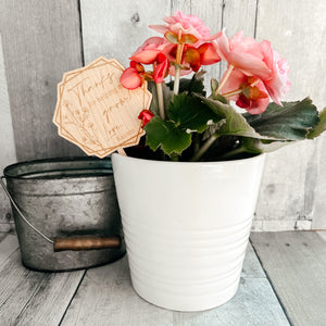 Thank you for helping me grow plant or succulent stake